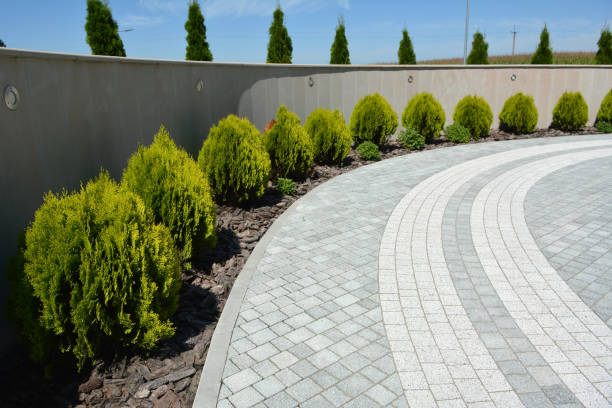 Reasons to Select Us for Your Driveway Paving Requirements in Barry, IL